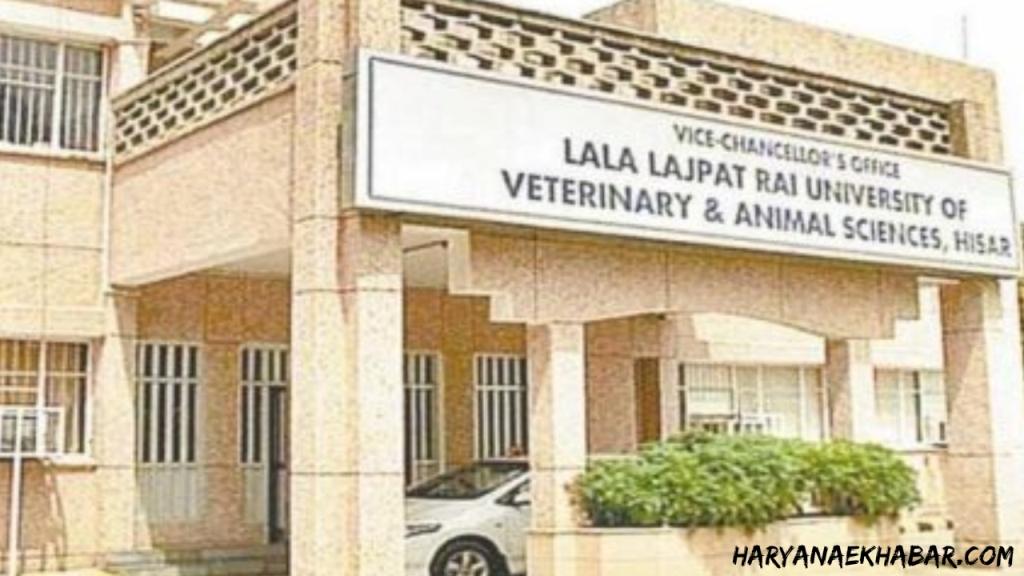 Lala Lajpat Rai University of Veterinary Animal Sciences Hisar Luvas