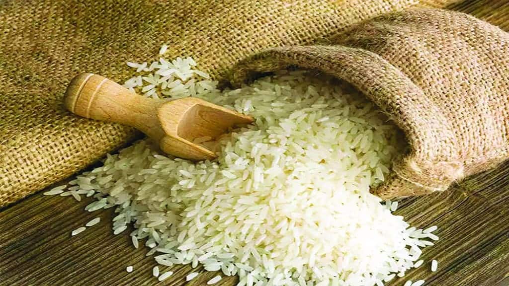 basmati chawal rice