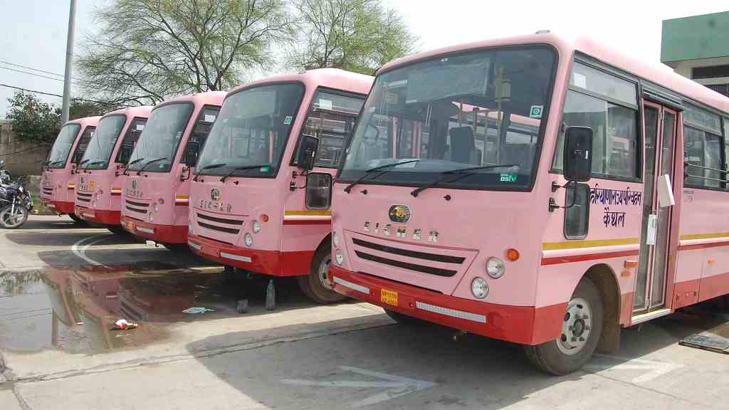 Pink Bus