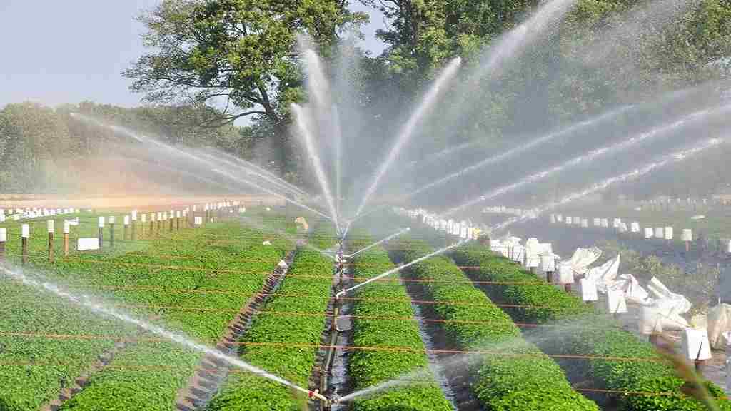 micro irrigation Kisan