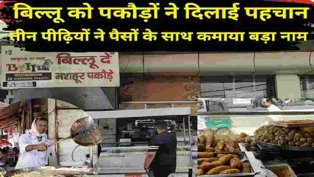 Bahadurgarh Pakora News Street Food