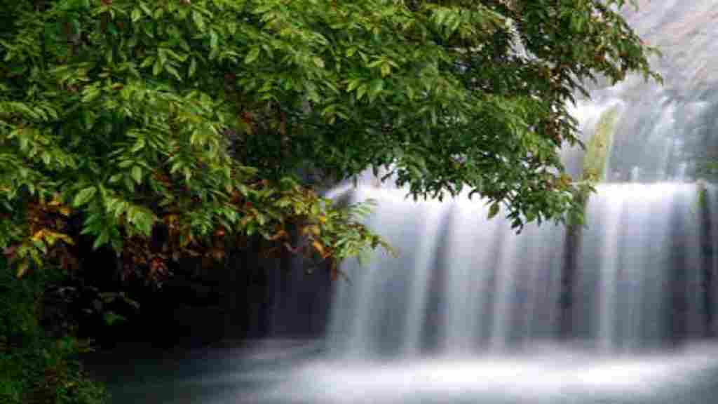Aravali Rewari Water Fall