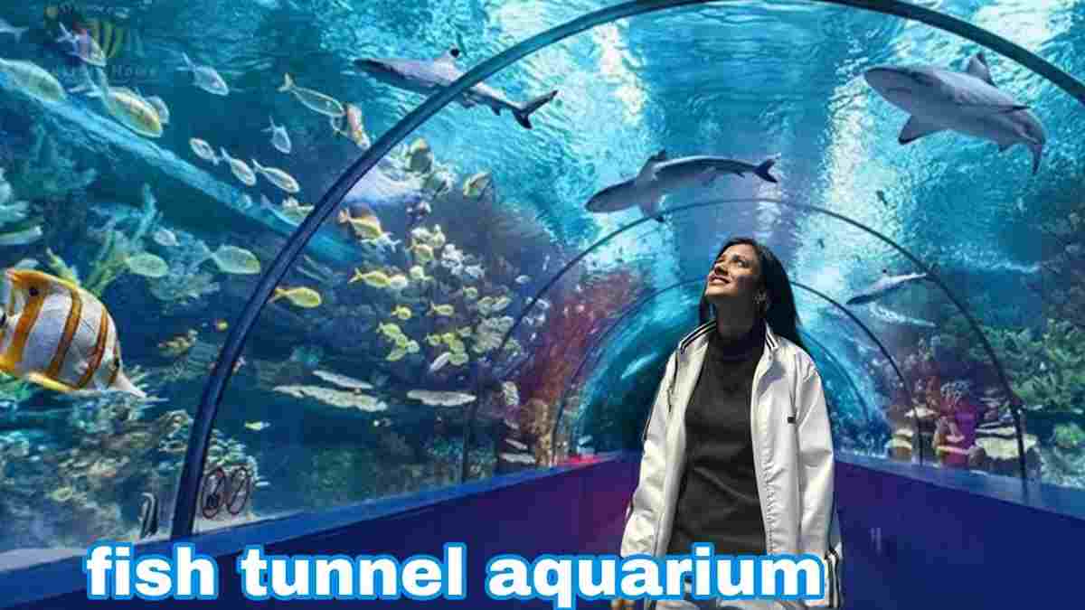 Underwater Fish Tunnel Fair