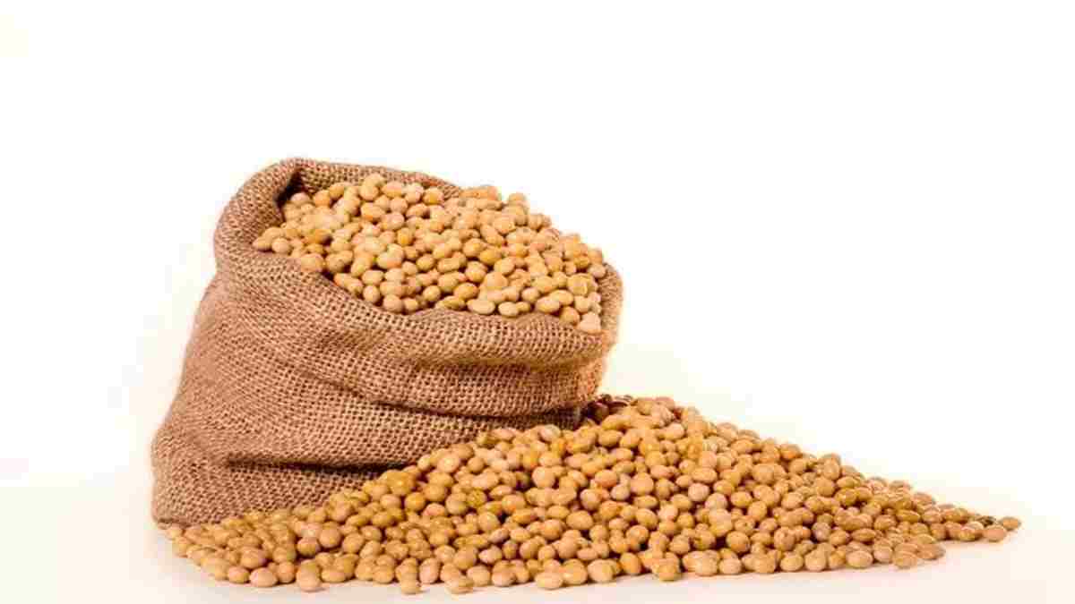 Soybean