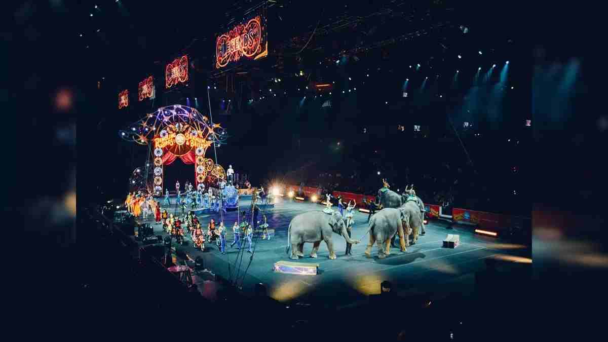 Circus Show