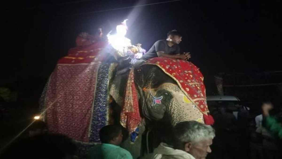 Mahendragarh Shadi 1